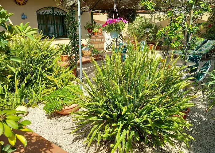 Bed And Breakfast Rosangela