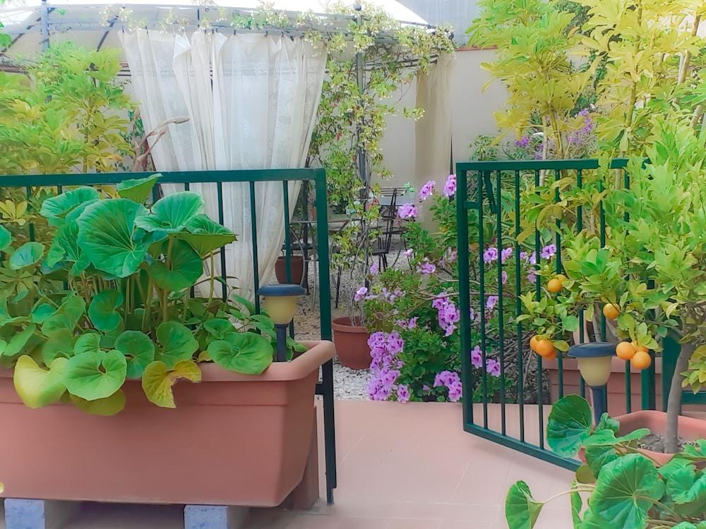 Rosangela